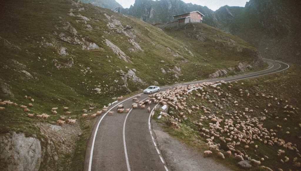 Photo Norwegian scenery