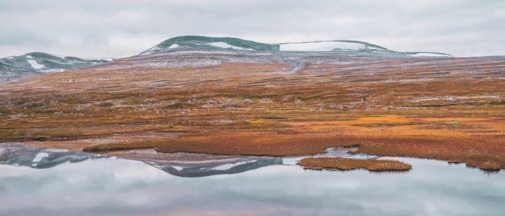 Photo Norwegian welfare