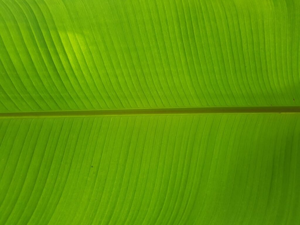 Photo Norway, Sustainability, Environment, Society, Nature, Renewable Energy, Recycling, Green Living, Climate Change, Forests, Oceans