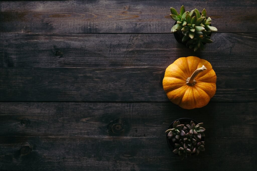 Photo Seasonal nouns