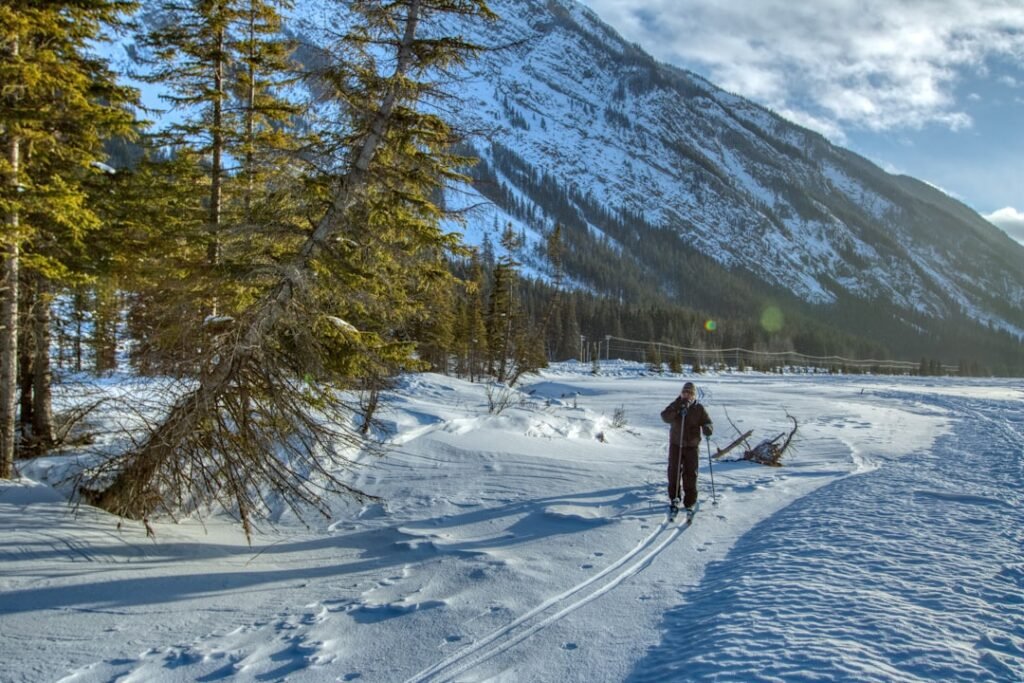 Photo Cross-country skiing