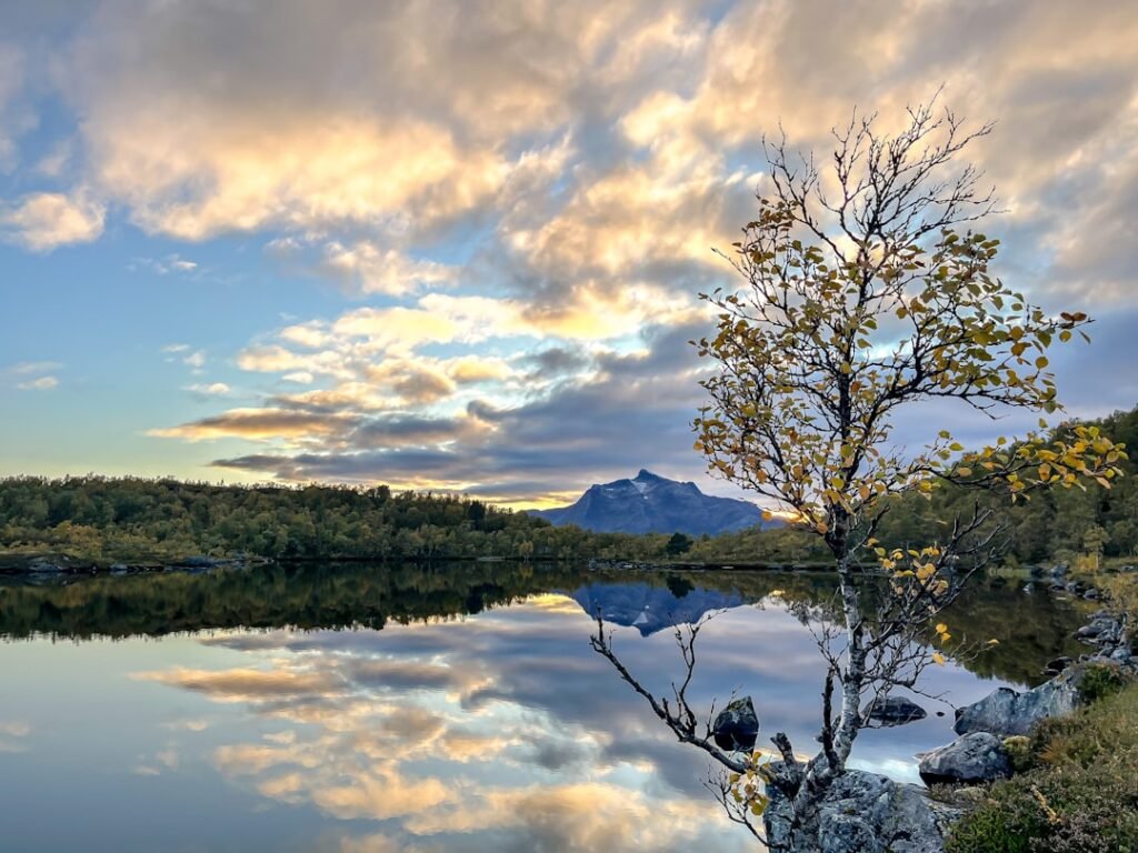 Photo Norwegian Embassy