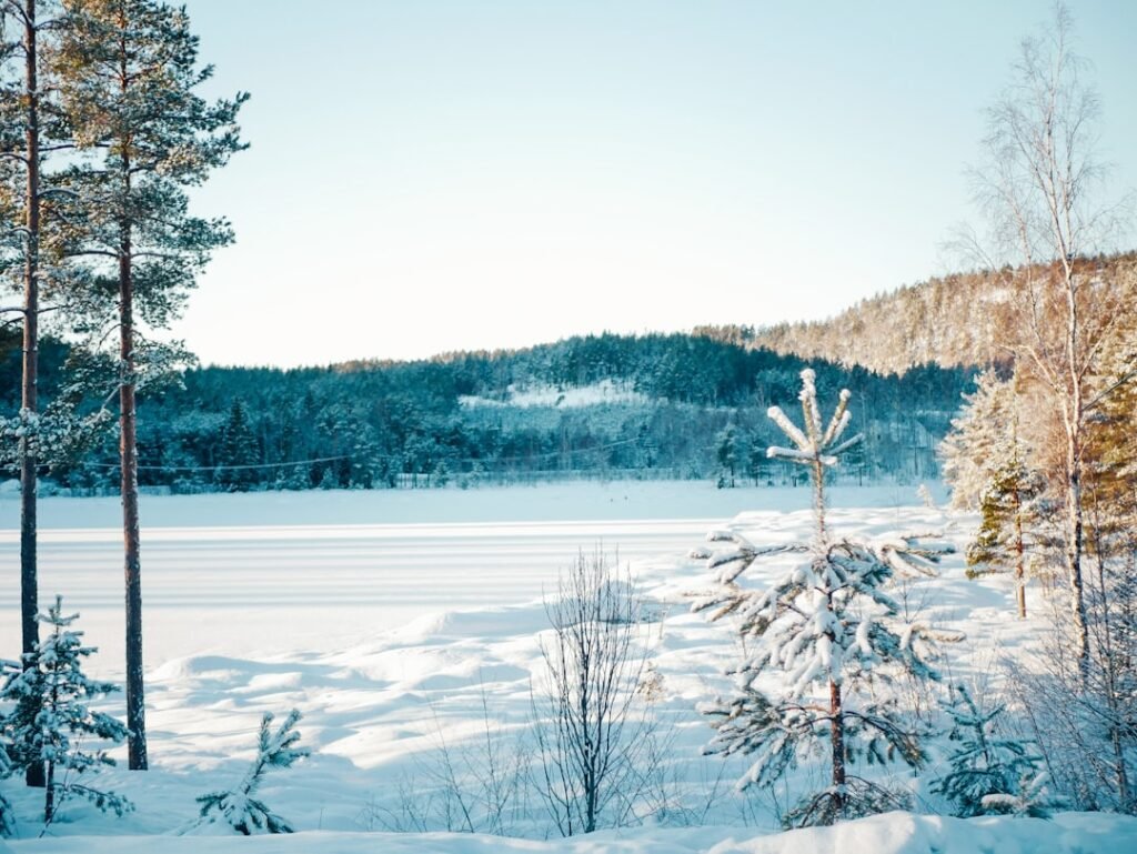Photo Norwegian Christmas