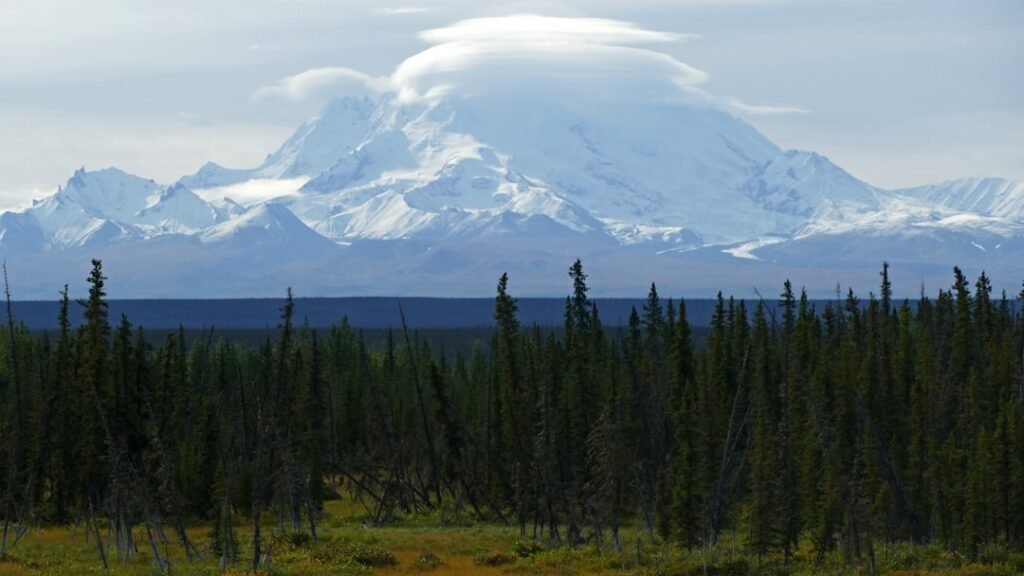 Photo Ambitious vs Modest