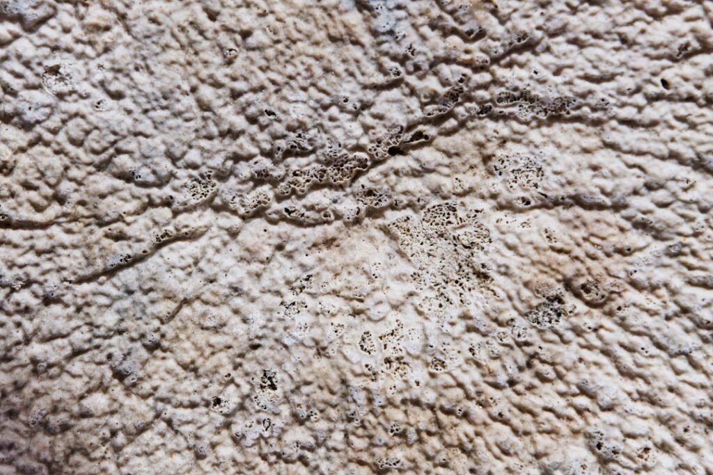 Photo Visual comparison