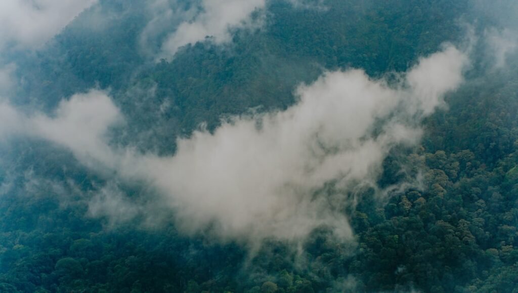 Photo Outdoor activities