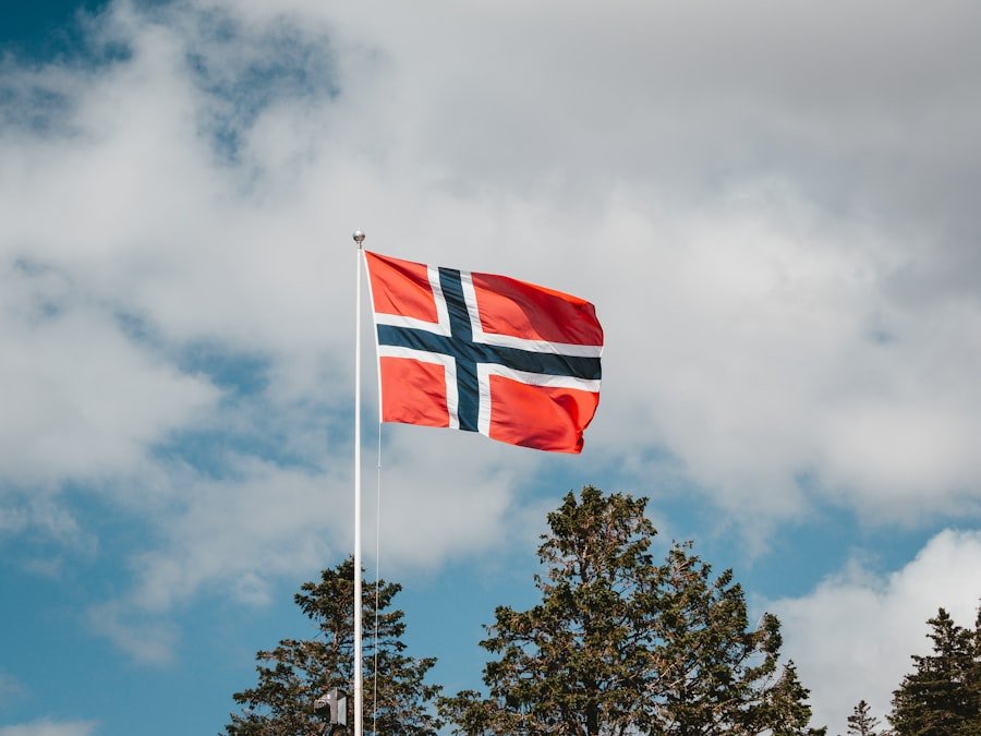Norwegian business tax terminology