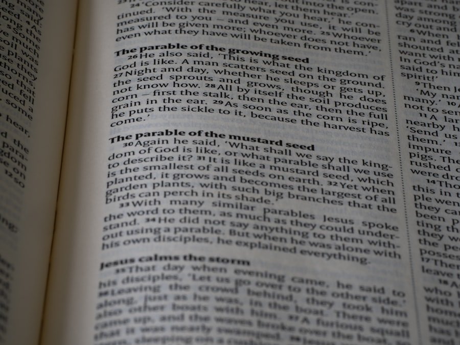 Photo linguistic guide