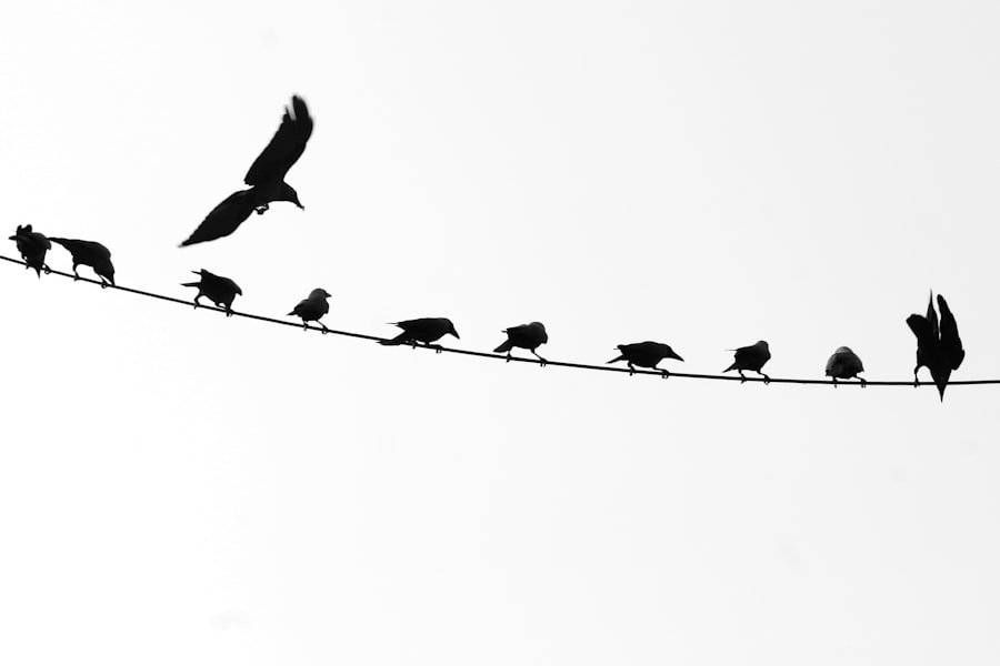 Photo leadership based on trust